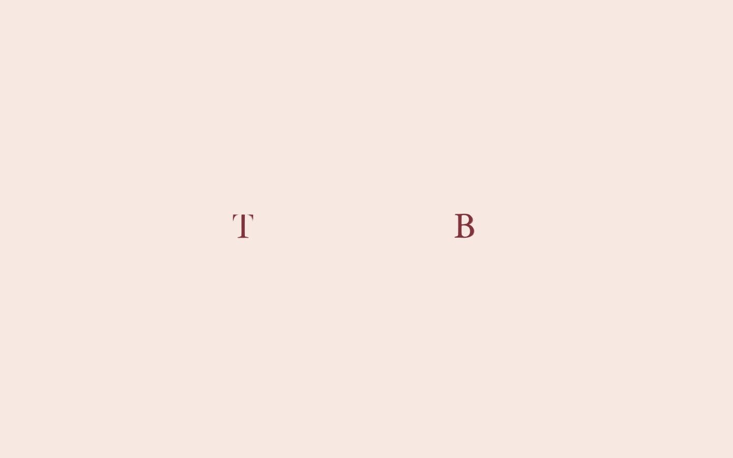 Tsubamesanjo Bit PC表示