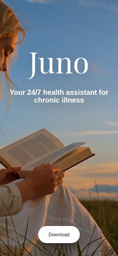 Juno スマホ表示