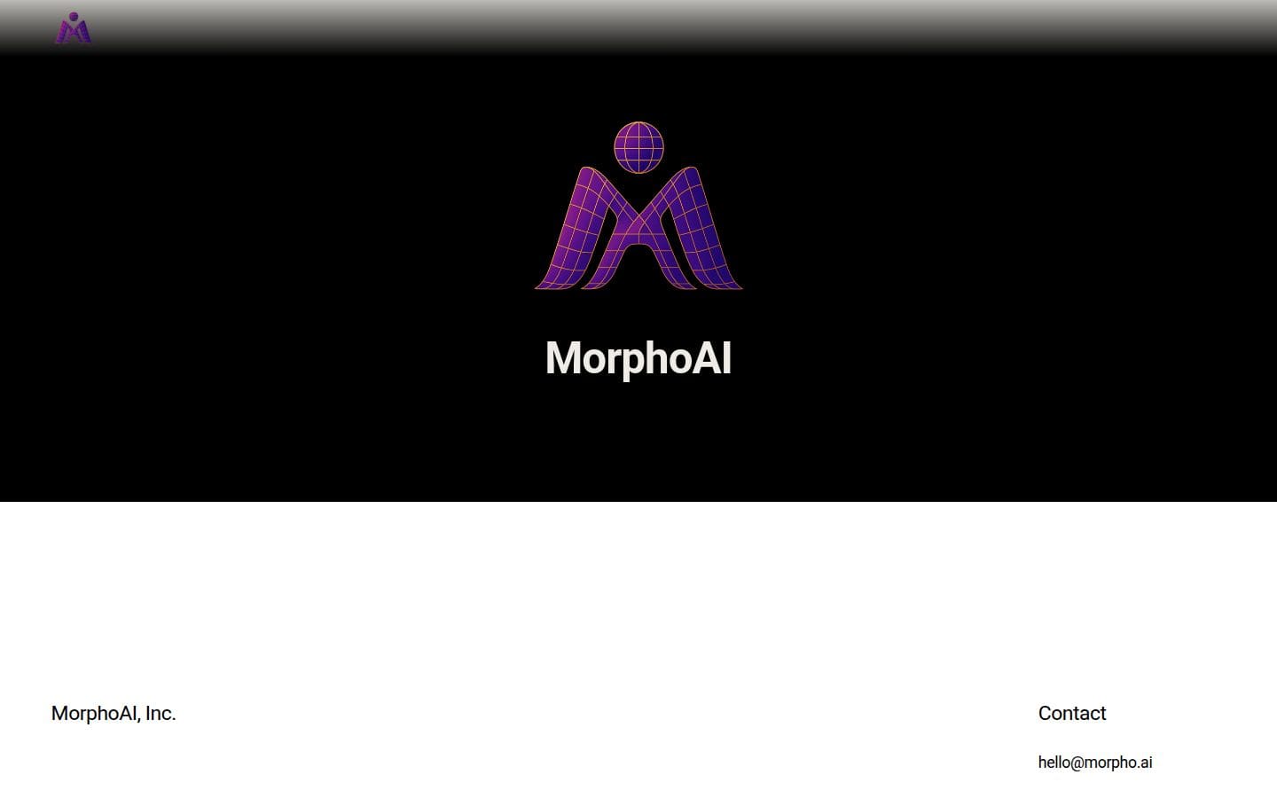 MorphoAI PC表示