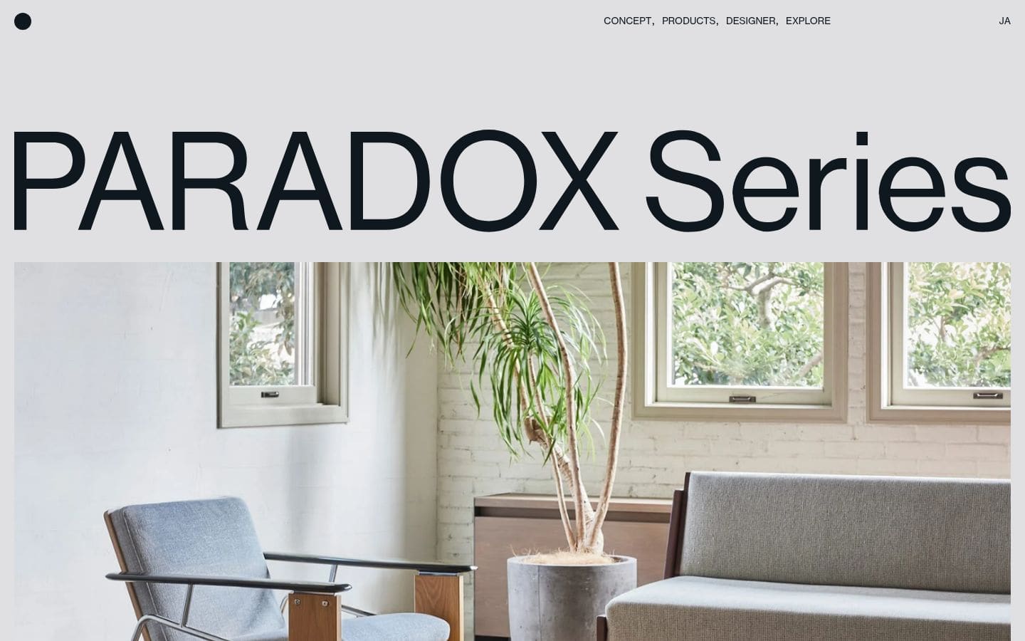 PARADOX Series PC表示