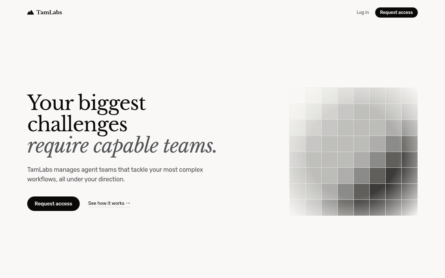 TamLabs PC表示