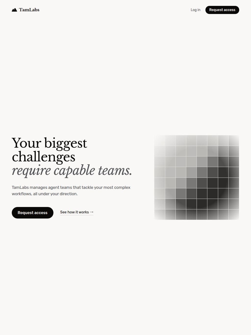 TamLabs タブレット表示