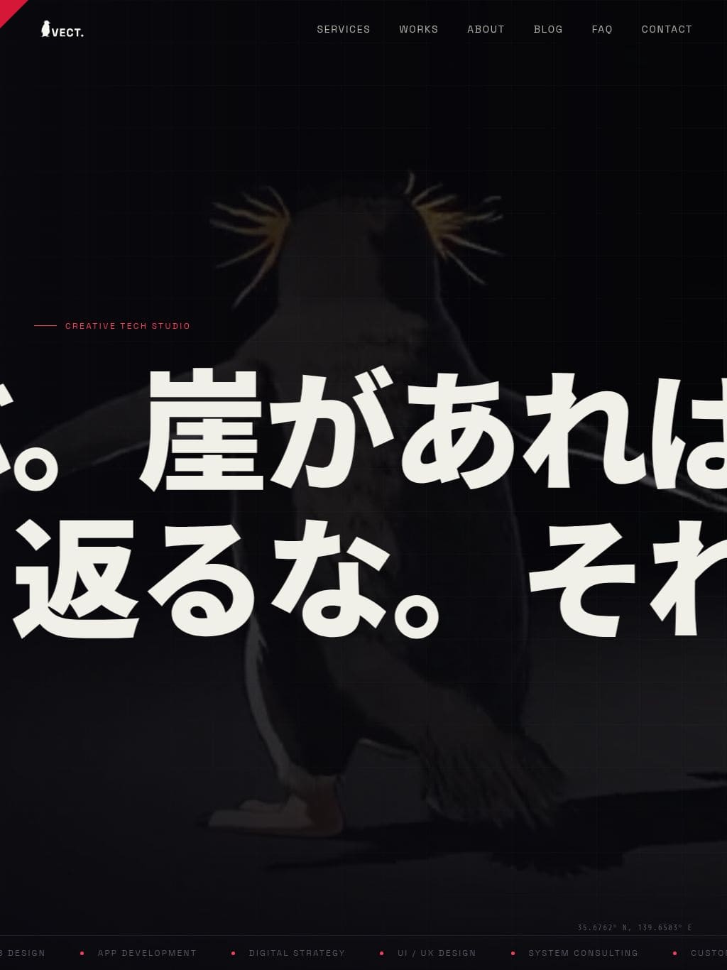 VECT タブレット表示
